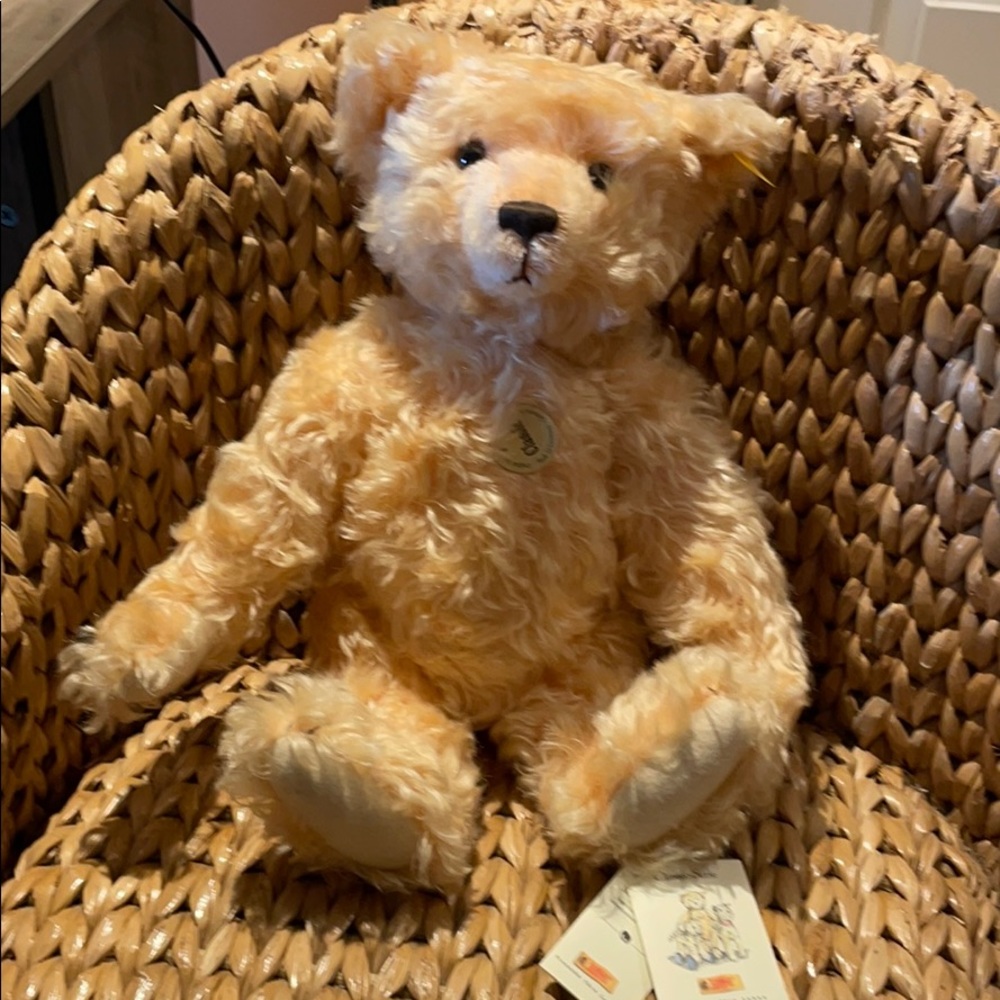 Strife bear